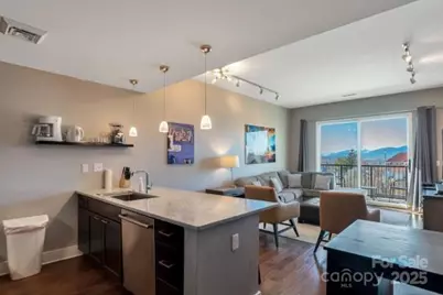 45 Asheland Avenue #500, Asheville, NC 28801 - Photo 7