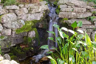 54 Fairway Rd, Asheville, NC 28804 - Photo 33