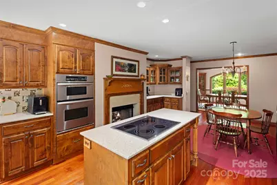 421 N Boundary Road, Mill Spring, NC 28756 - Photo 9