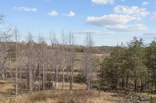 2311 Freemantown Rd, Lake Lure, NC 28746 - Photo 11