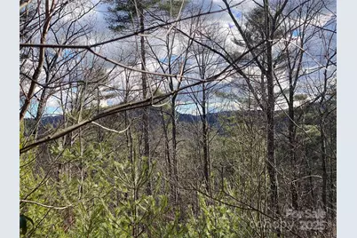 999 High Point Trail, Brevard, NC 28712 - Photo 5