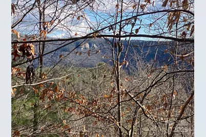 999 High Point Trail, Brevard, NC 28712 - Photo 7