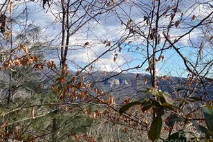 999 High Point Trail, Brevard, NC 28712 - Photo 1