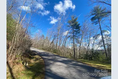 999 High Point Trail, Brevard, NC 28712 - Photo 17