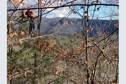 999 High Point Trail, Brevard, NC 28712 - Photo 3