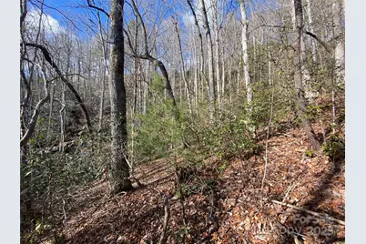 999 High Point Trail, Brevard, NC 28712 - Photo 11