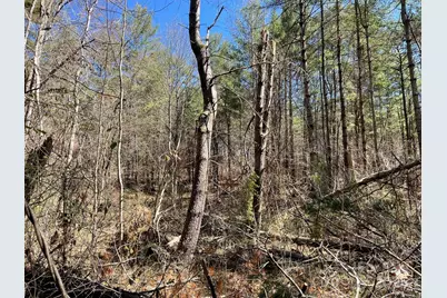 85 Union Chapel Road, Weaverville, NC 28787 - Photo 23