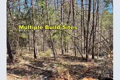 85 Union Chapel Road, Weaverville, NC 28787 - Photo 21