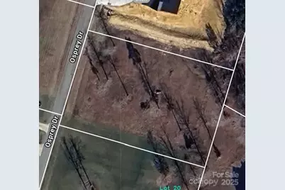 5319 Osprey Drive, Mebane, NC 27302 - Photo 3