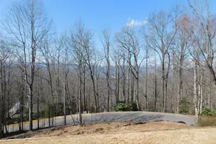 1064 Skye Dr, Pisgah Forest, NC 28768 - Photo 3