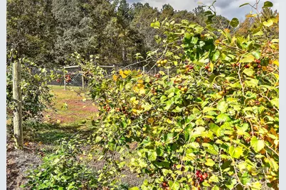 153 Badenyon Place, Union Grove, NC 28689 - Photo 39