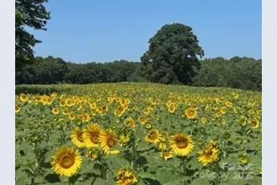 153 Badenyon Place, Union Grove, NC 28689 - Photo 37