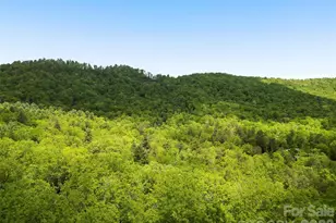 1455 Flint Rock Trail, Arden, NC 28704 - Photo 45