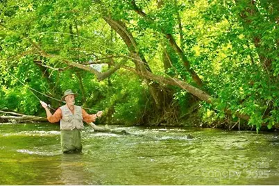 2013 Hitching Post Trail, Lenoir, NC 28645 - Photo 37