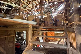 492 Paint Fork Rd, Barnardsville, NC 28709 - Photo 39