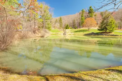 461 Somersby Parkway, Hendersonville, NC 28739 - Photo 7