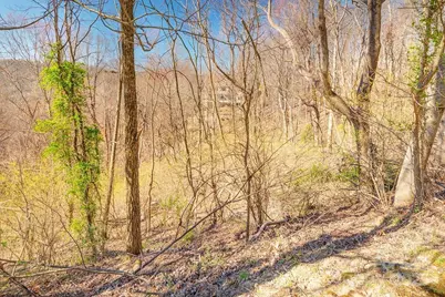 461 Somersby Parkway, Hendersonville, NC 28739 - Photo 5