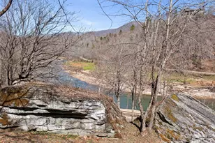 427 Johnson Cemetery Rd, Bakersville, NC 28705 - Photo 33