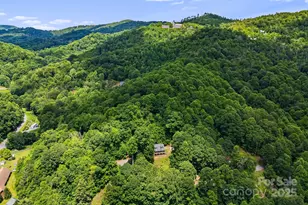 110 Red Wolf Ln, Mars Hill, NC 28754 - Photo 9