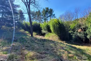 28 Plemmons St, Canton, NC 28716 - Photo 27