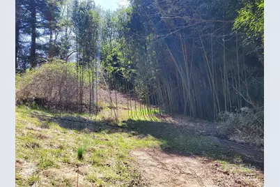 28 Plemmons Street, Canton, NC 28716 - Photo 23