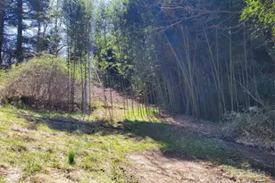 28 Plemmons St, Canton, NC 28716 - Photo 23