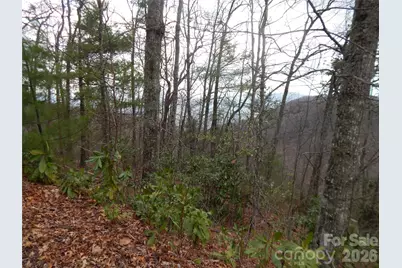 5 Sigogglin Trail, Waynesville, NC 28785 - Photo 5
