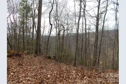 5 Sigogglin Trail, Waynesville, NC 28785 - Photo 19