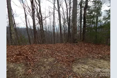 5 Sigogglin Trail, Waynesville, NC 28785 - Photo 3