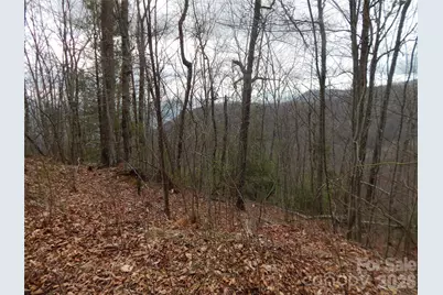 5 Sigogglin Trail, Waynesville, NC 28785 - Photo 21