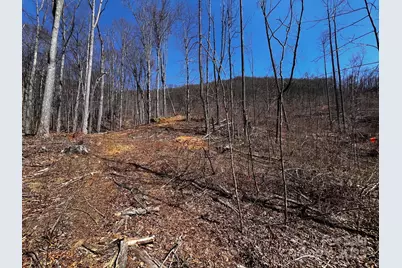 0 Rocky Face Drive #RF-2, Canton, NC 28716 - Photo 5