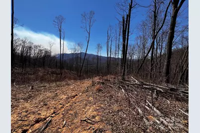 0 Rocky Face Drive #RF-2, Canton, NC 28716 - Photo 1