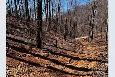 0 Rocky Face Drive #RF-2, Canton, NC 28716 - Photo 3