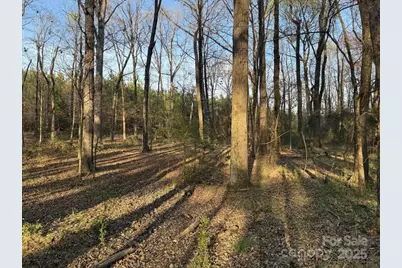 00 Griffin Greene Boulevard, Oakboro, NC 28129 - Photo 11