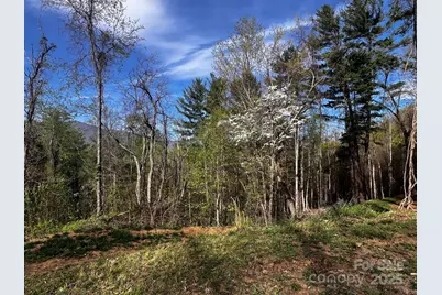 0 Little Creek Drive #5A, Canton, NC 28716 - Photo 1