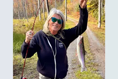 7810 Little Snowbird Road, Robbinsville, NC 28771 - Photo 43