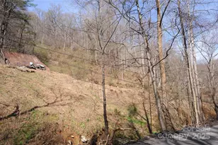 00 Coxes Creek Rd, Burnsville, NC 28714 - Photo 3