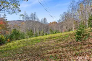 384 Flat Creek Rd, Fairview, NC 28730 - Photo 33