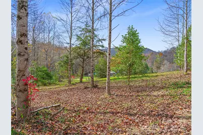 384 Flat Creek Road, Fairview, NC 28730 - Photo 23