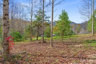 384 Flat Creek Rd, Fairview, NC 28730 - Photo 23
