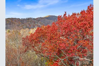 384 Flat Creek Road, Fairview, NC 28730 - Photo 29
