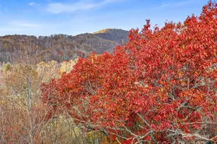 384 Flat Creek Rd, Fairview, NC 28730 - Photo 29