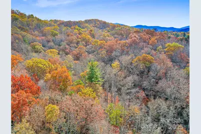 384 Flat Creek Road, Fairview, NC 28730 - Photo 21