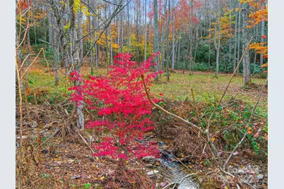 384 Flat Creek Road, Fairview, NC 28730 - Photo 27