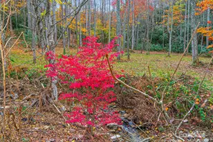 384 Flat Creek Rd, Fairview, NC 28730 - Photo 27