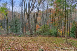 384 Flat Creek Rd, Fairview, NC 28730 - Photo 31