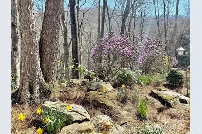 78 Aster Lane, Waynesville, NC 28786 - Photo 45