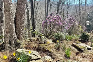 78 Aster Ln, Waynesville, NC 28786 - Photo 45