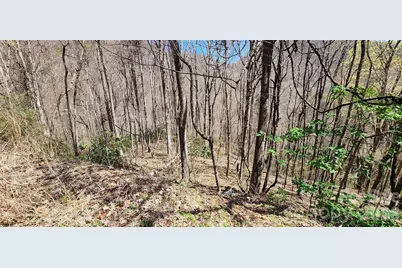 24 Village Lane, Waynesville, NC 28786 - Photo 7