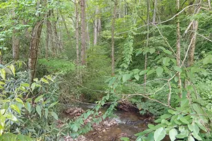 24 Village Ln, Waynesville, NC 28786 - Photo 1